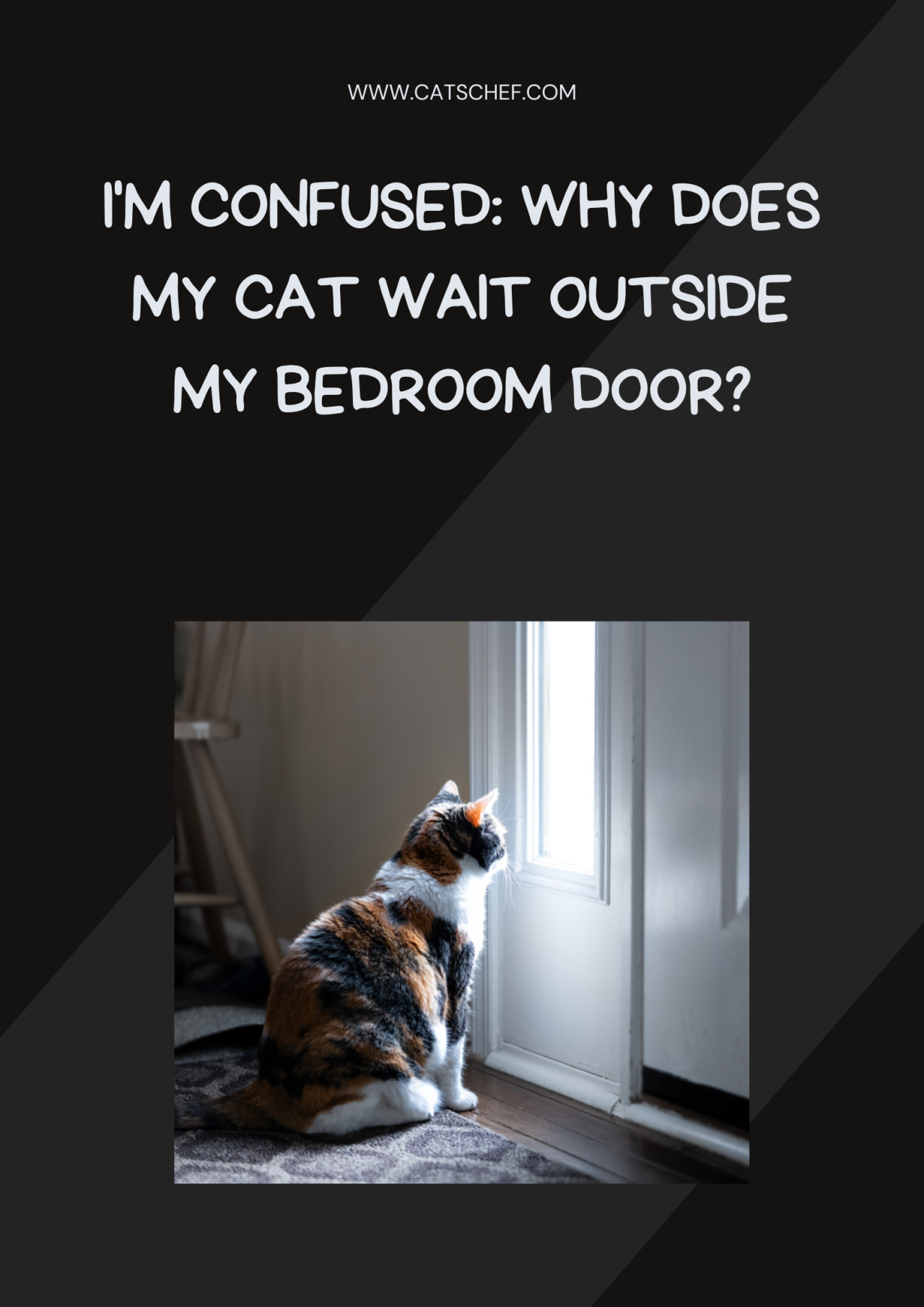 i-m-confused-why-does-my-cat-wait-outside-my-bedroom-door