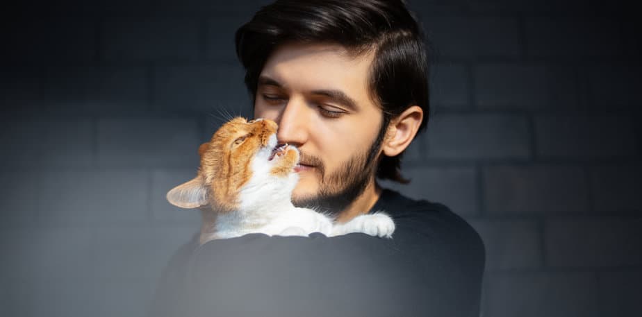 Kedim Neden Burnumu Isırıyor? 12 Olası Açıklama