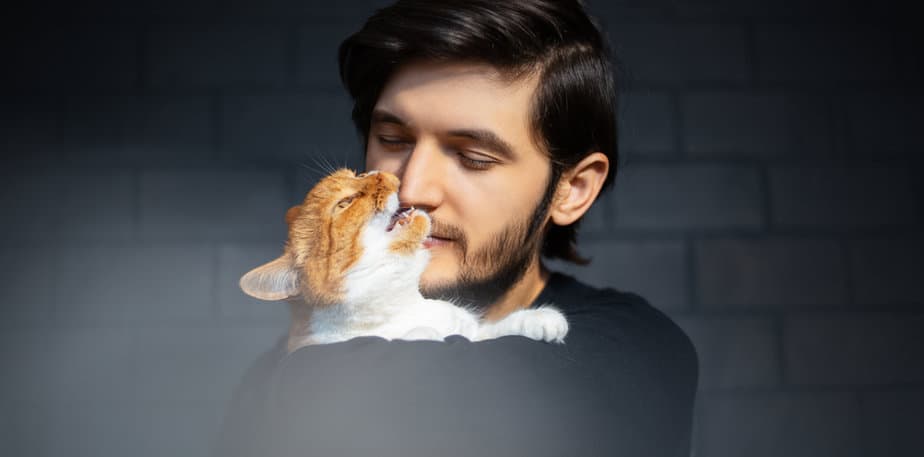 Why Does My Cat Bite My Nose? 12 Possible Explanations