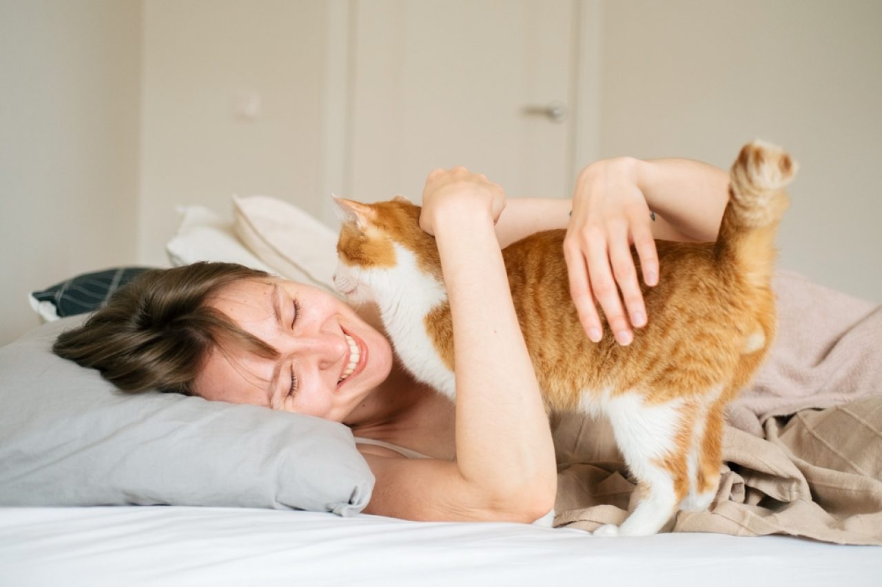Can Cats Tell When You're Sick? Is It Black Magic?