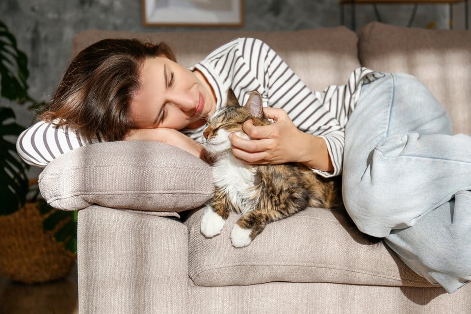 Can Cats Tell When You're Sick? Is It Black Magic?