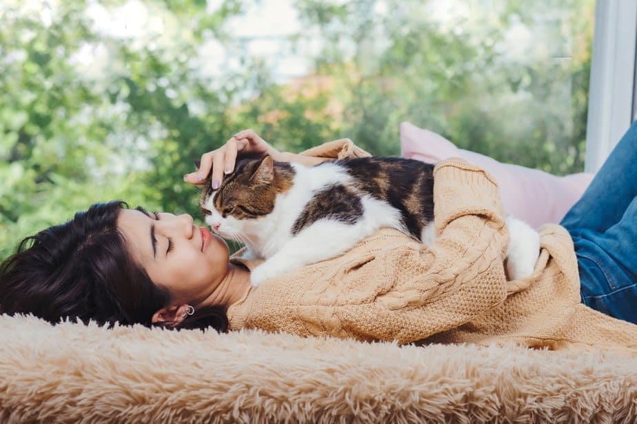 Can Cats Tell When You're Sick? Is It Black Magic?