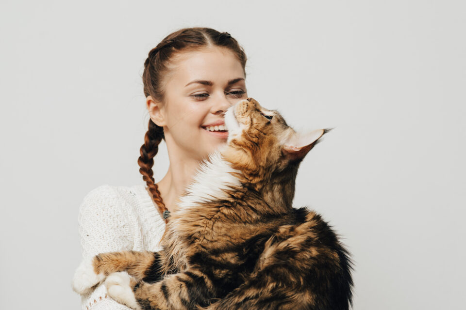 Why Does My Cat Sniff My Eye? What Does She Spy?