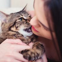 why does my cat bite my nose