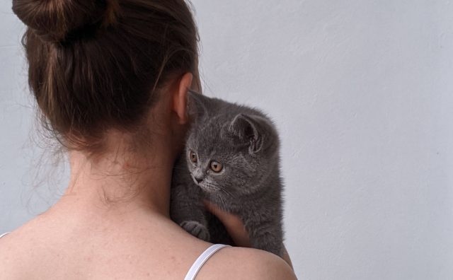 why does my cat jump on my back