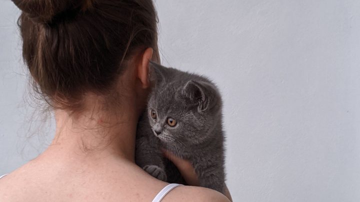I Need Answers: Why Does My Cat Jump On My Back?
