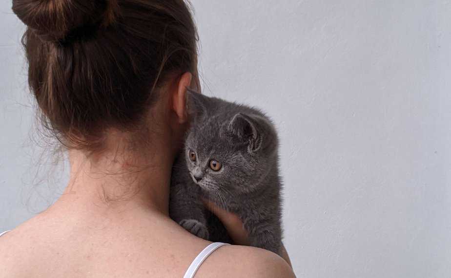 why does my cat jump on my back
