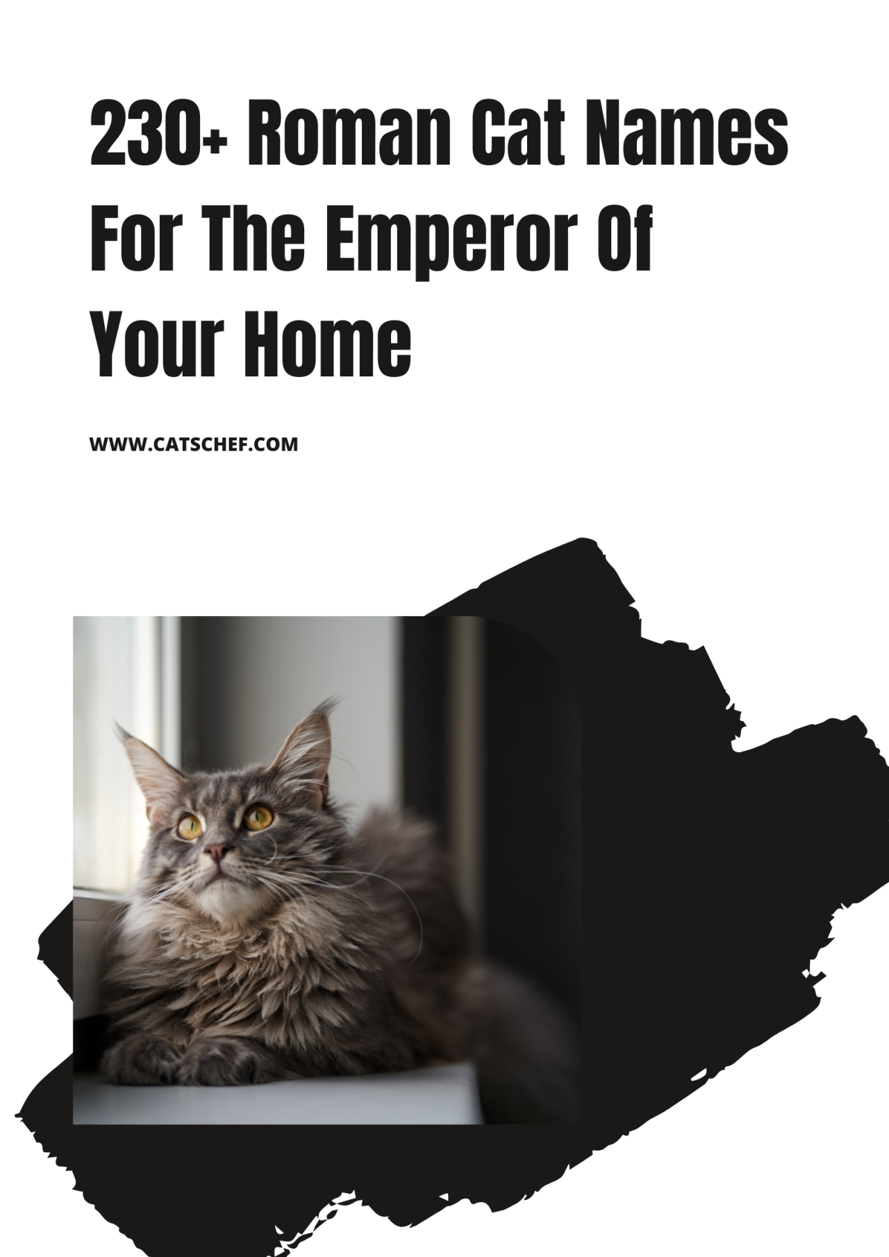 230-roman-cat-names-for-the-emperor-of-your-home