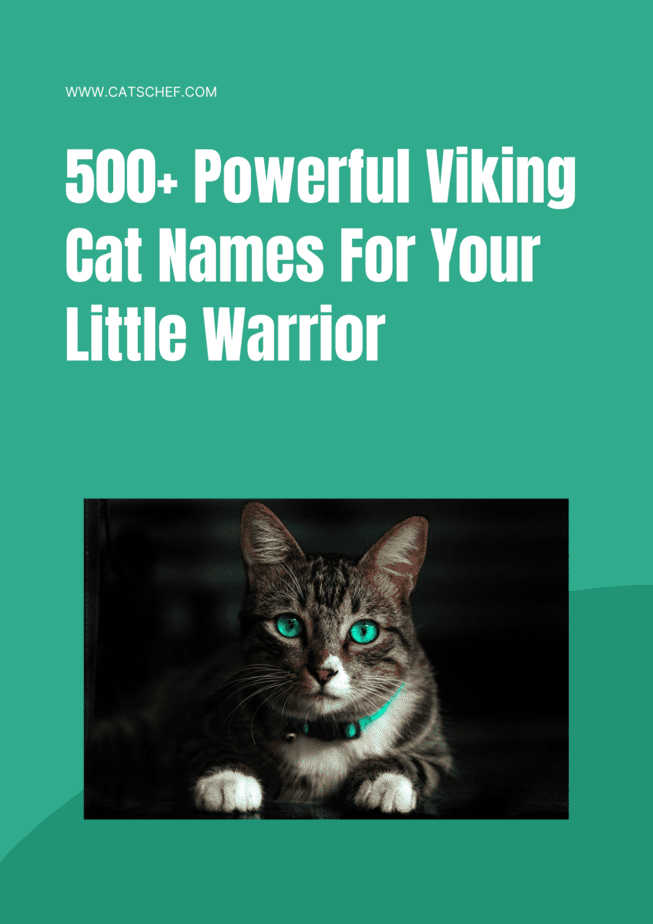 Küçük Savaşçınız İçin 500+ Güçlü Viking Kedi İsmi