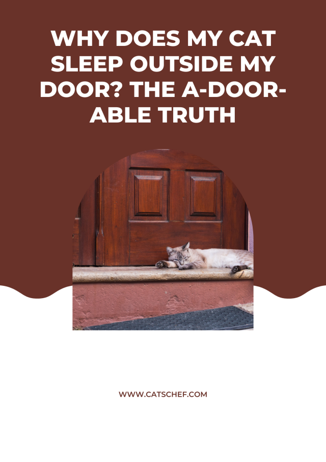 Why Does My Cat Sleep Outside My Door? The Adoorable Truth