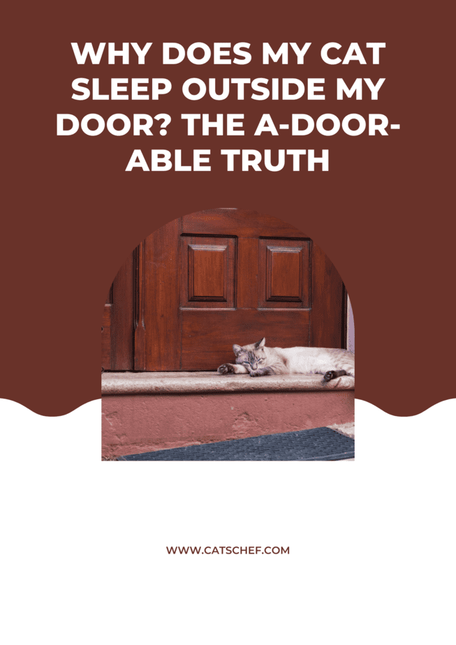 Why Does My Cat Sleep Outside My Door? The A-door-able Truth