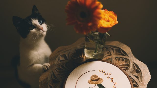 old lady names for cats