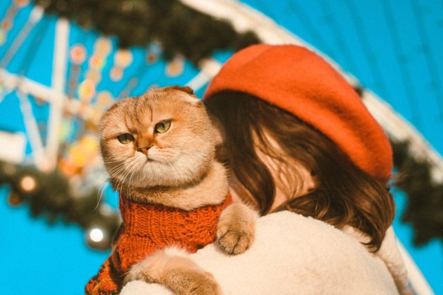 230 Roman Cat Names For The Emperor Of Your Home 230-roman-cat-names-for-the-emperor-of-your-home