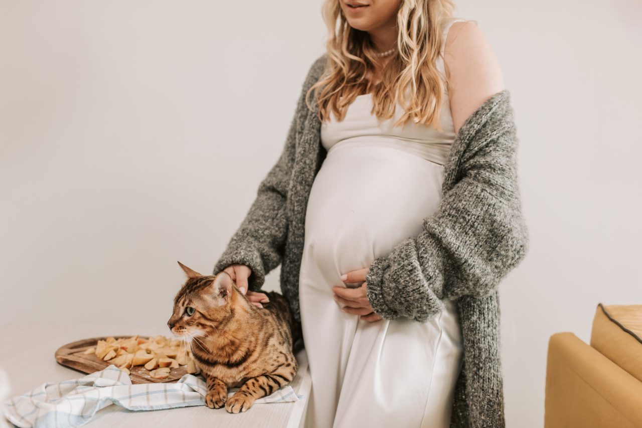 Why Do Cats Attack Pregnant Women? The Clawful Truth