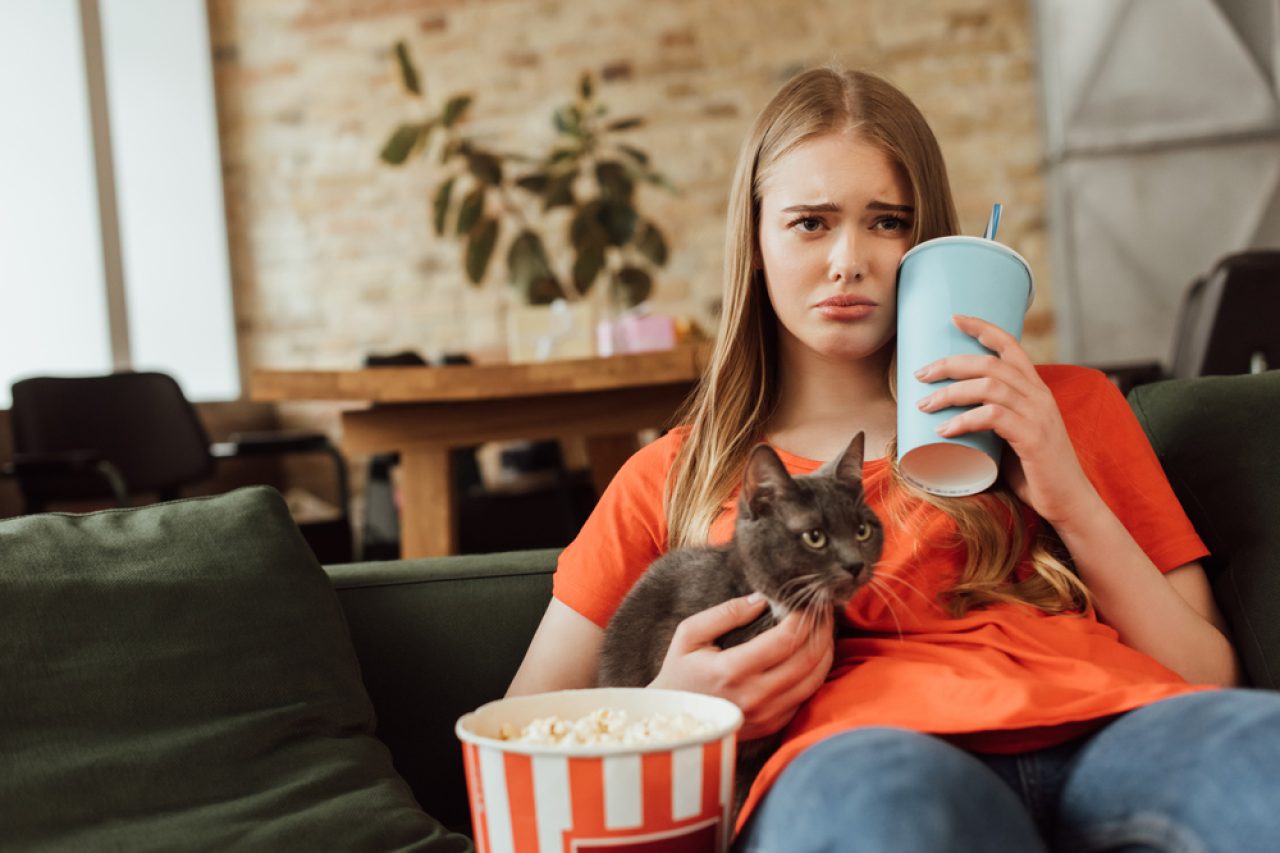 Can Cats Drink Soda? "Soda-Licious" Or So Done With This Drink?