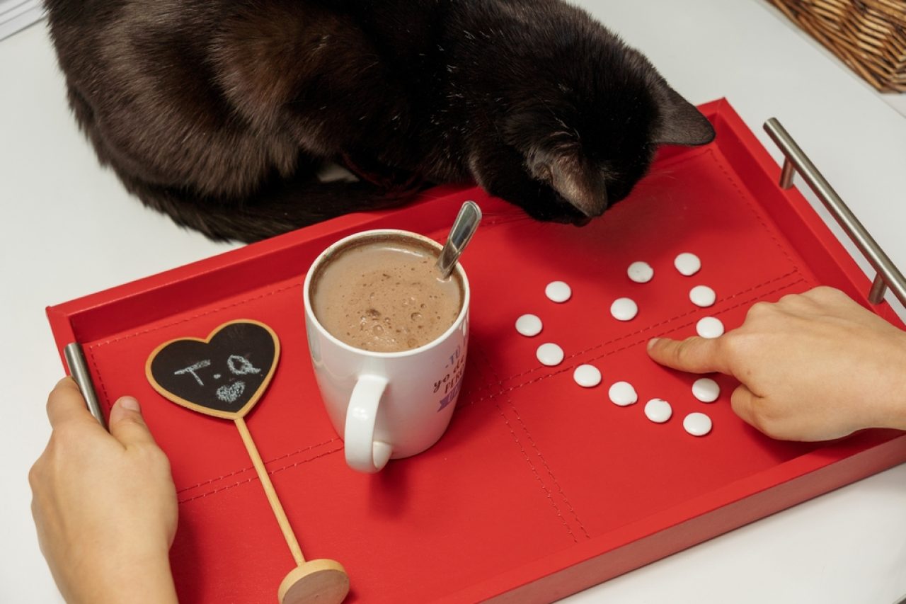 Kediler Çikolatalı Süt İçebilir mi? Bir Yudum Almalarına İzin Verilir mi?