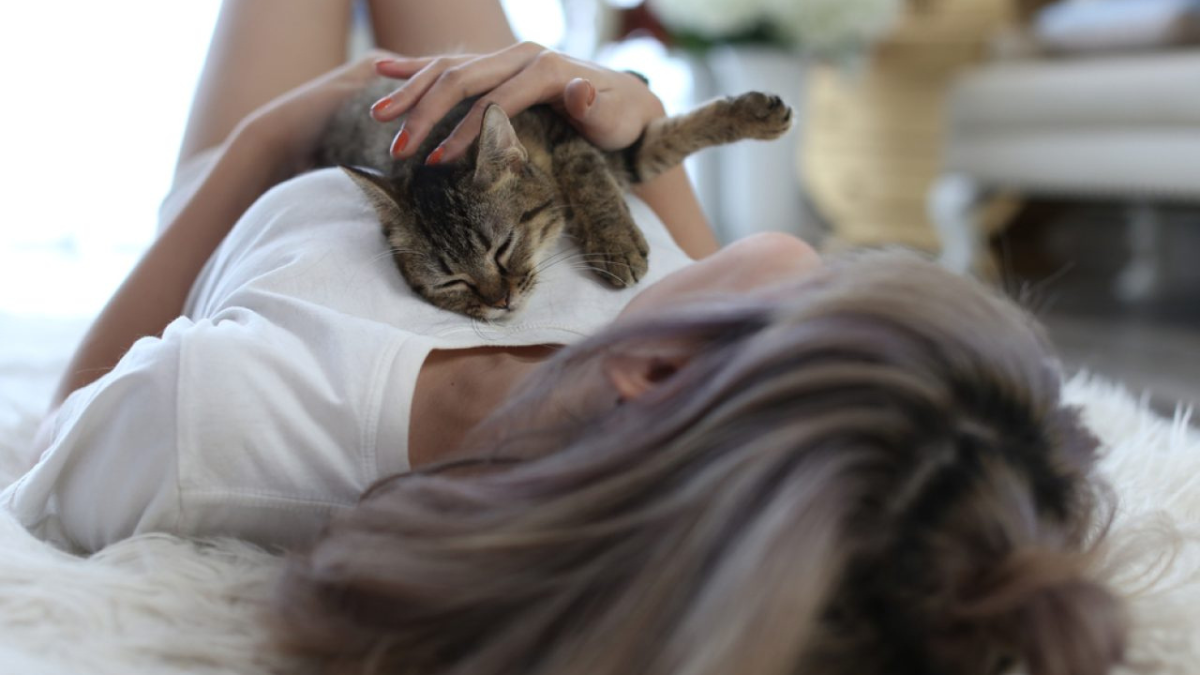 10 Sweet Reasons Why Your Cat Loves Sleeping On Your Chest