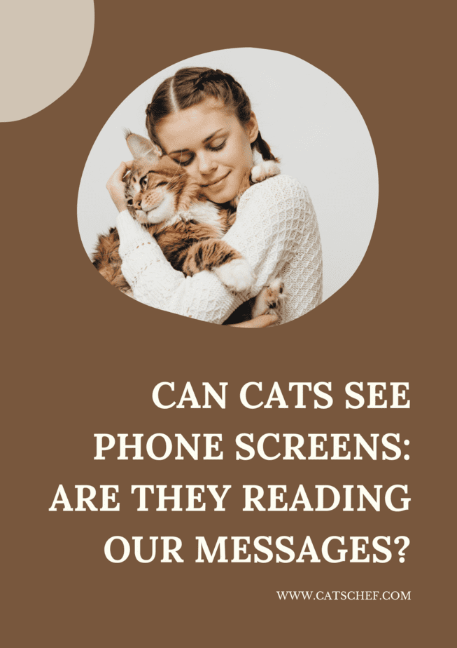 Can Cats See Phone Screens: Are They Reading Our Messages?