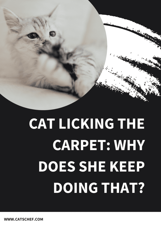 Cat Licking The Carpet: Why Does She Keep Doing That?