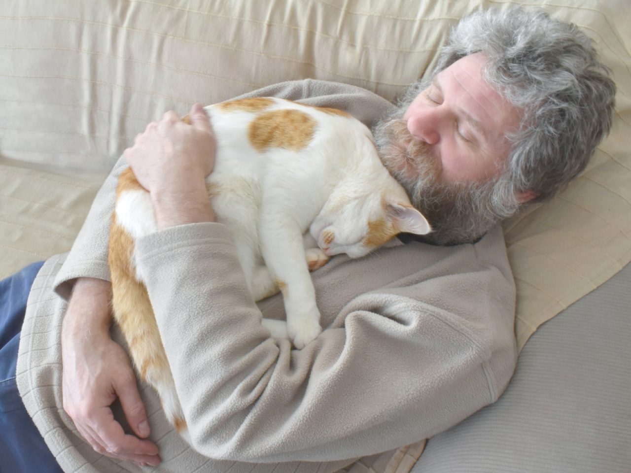 Cat Sleeps On My Chest 10 Reasons That Won't Make You Snore