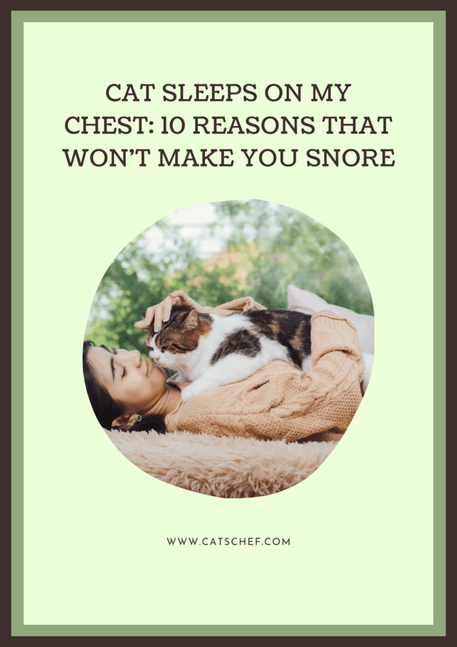 Cat Sleeps On My Chest: 10 Reasons That Won't Make You Snore