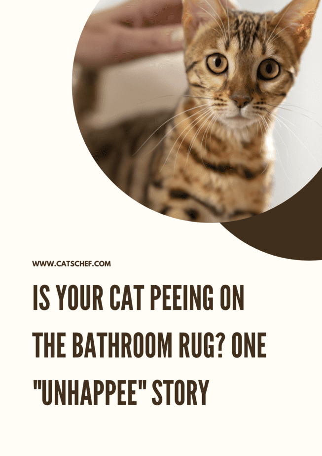 Is Your Cat Peeing On The Bathroom Rug? One "Unhappee" Story