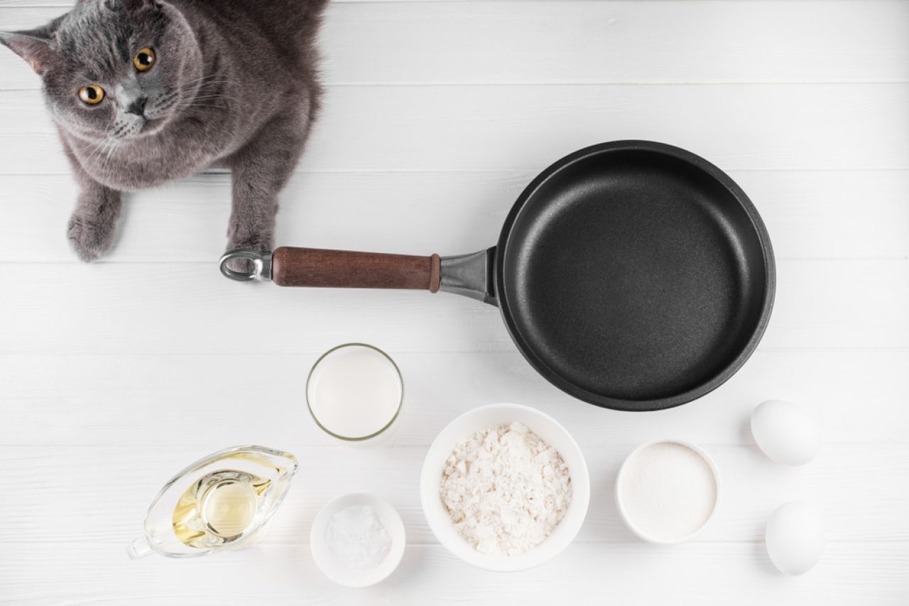 How To Get Rid Of The Cat Litter Smell In Your Apartment?