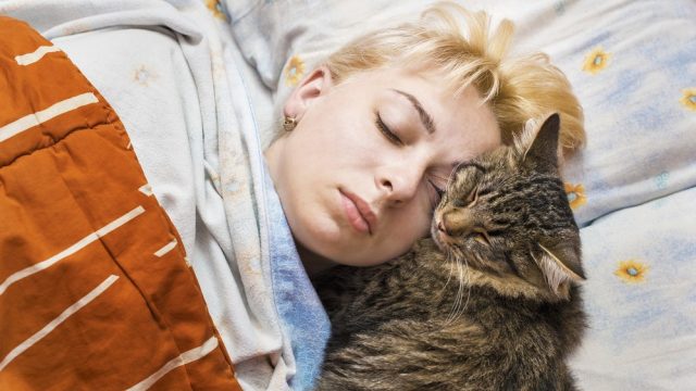 why does my cat sleep on my head