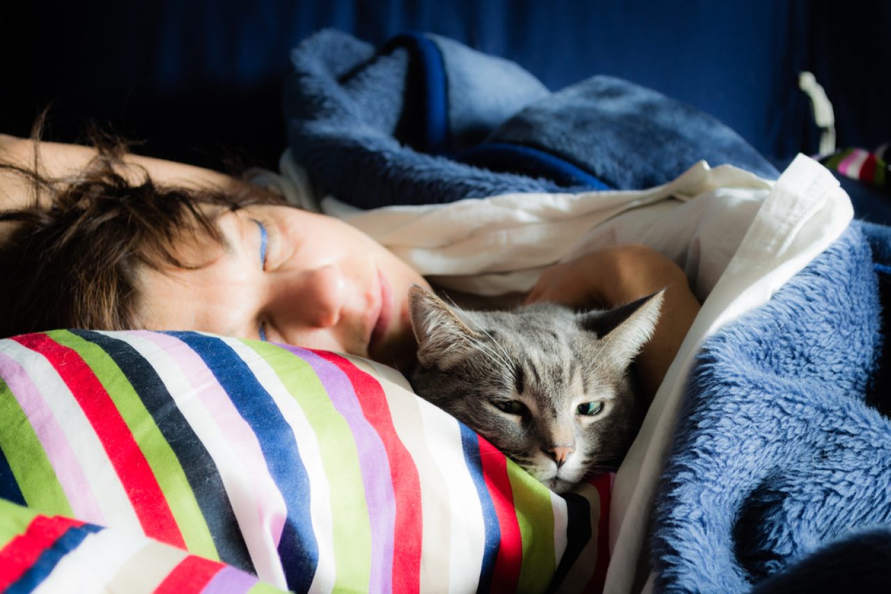 Why Does My Cat Sleep On My Head? Am I That Comfy?