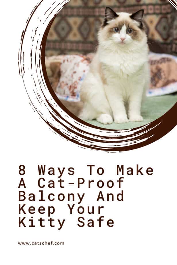 8 Ways To Make A Cat-Proof Balcony And Keep Your Kitty Safe