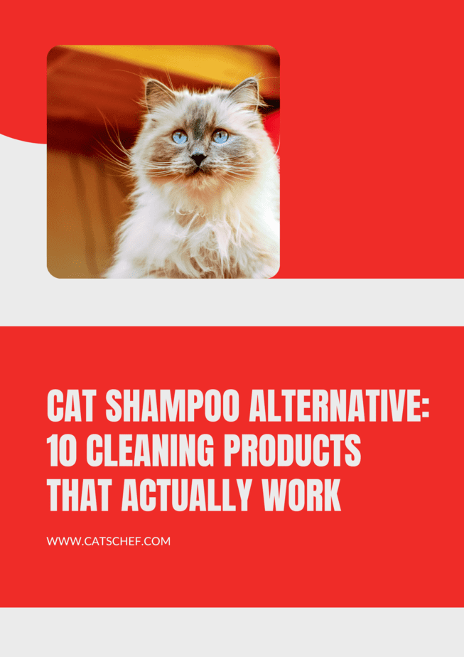 Cat Shampoo Alternative: 10 Cleaning Products That Actually Work