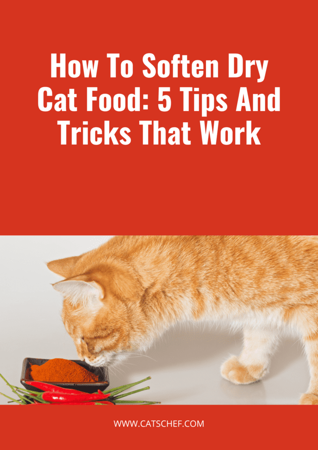 How To Soften Dry Cat Food: 5 Tips And Tricks That Work