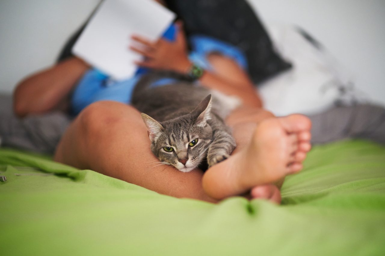 Why Do Cats Like Feet? Doesn't The Smell Bother Them?
