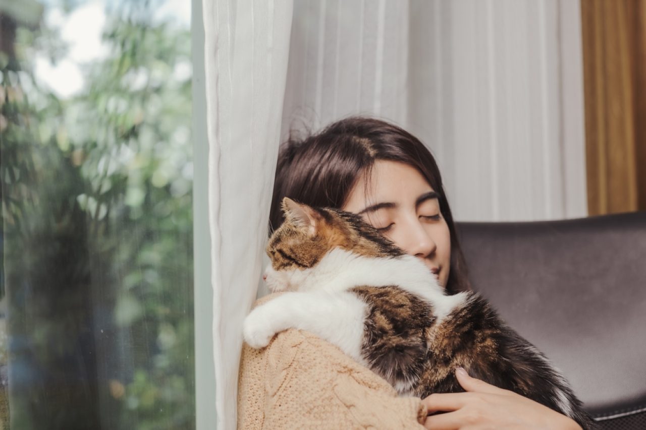 Why Do Cats Shake Their Heads After You Pet Them?