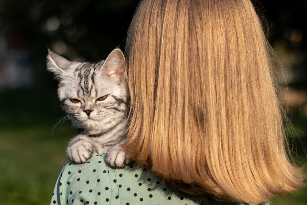 Why Do Cats Walk On You? Is That What Catwalk Is?