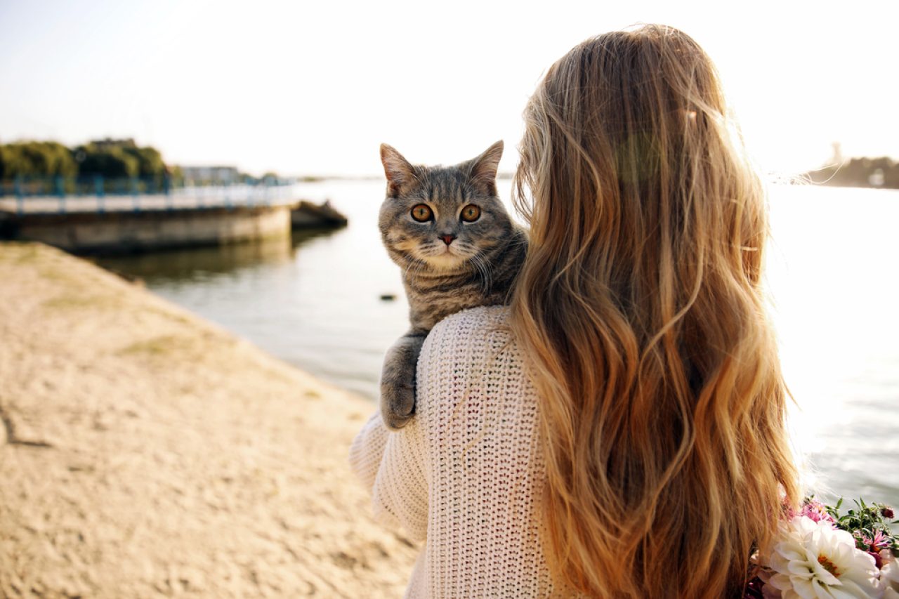 Why Does My Cat Bite My Ear? 7 Eye-Opening Reasons