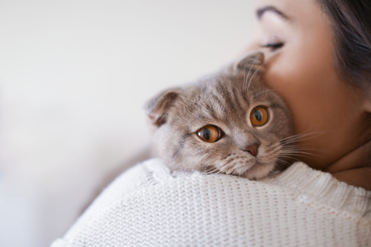 Why Does My Cat Bite My Ear? 7 Eye-Opening Reasons
