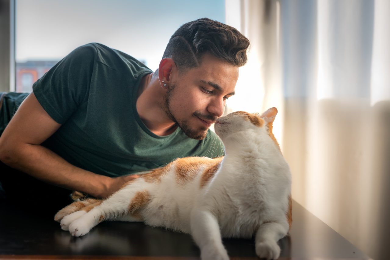 Why Does My Cat Like My Boyfriend More Than Me? Help!