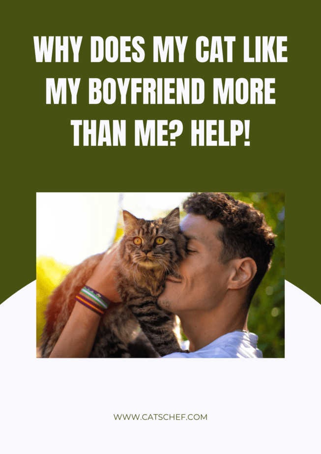 why does my cat talk to me but not my boyfriend