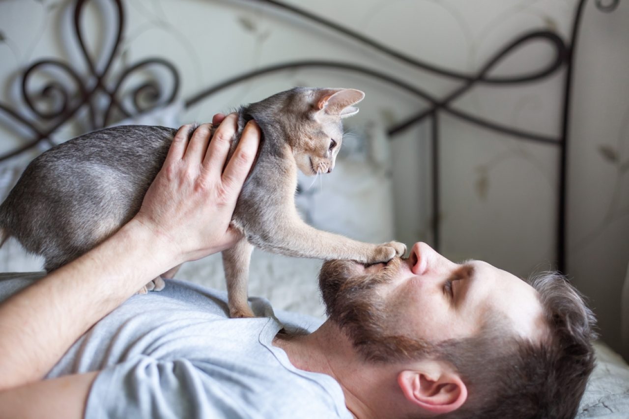 Why Does My Cat Put Her Paw On My Face? 9 Explanations