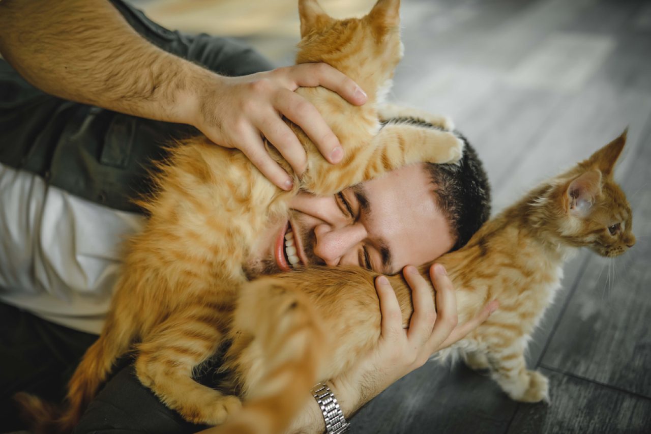 Why Does My Cat Put Her Paw On My Face? 9 Explanations