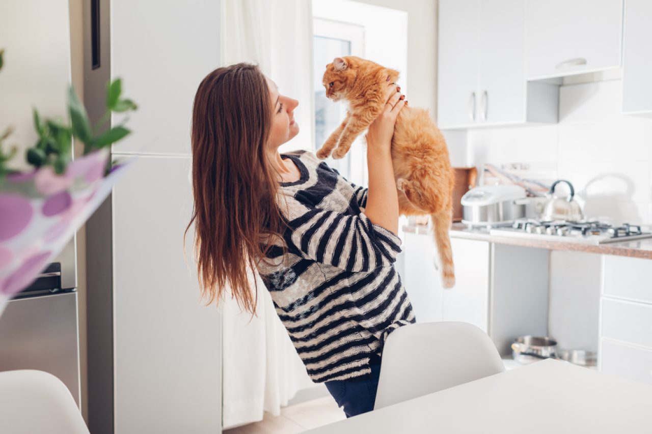 Why Does My Cat Put Her Paw On My Face? 9 Explanations