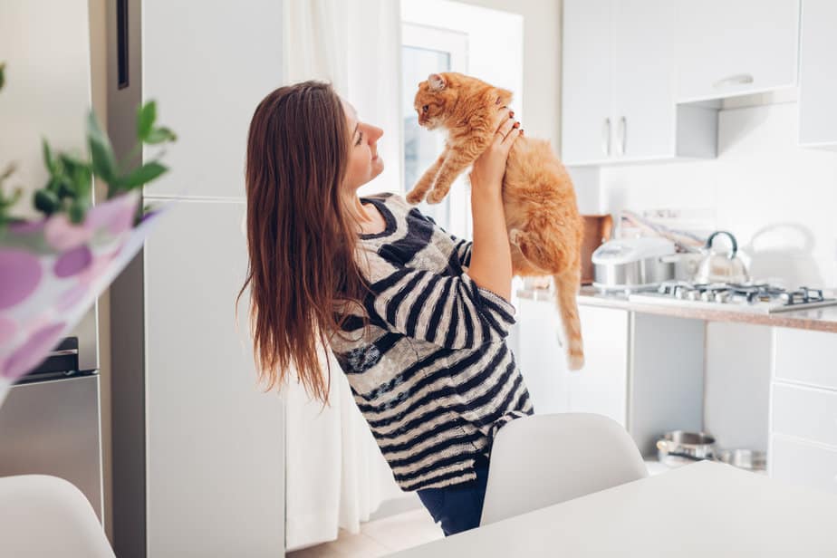Why Does My Cat Put Her Paw On My Face? 9 Explanations