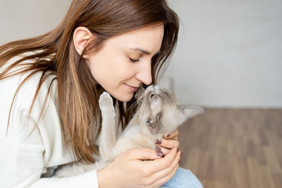 Why Does My Cat Put Her Paw On My Face? 9 Explanations