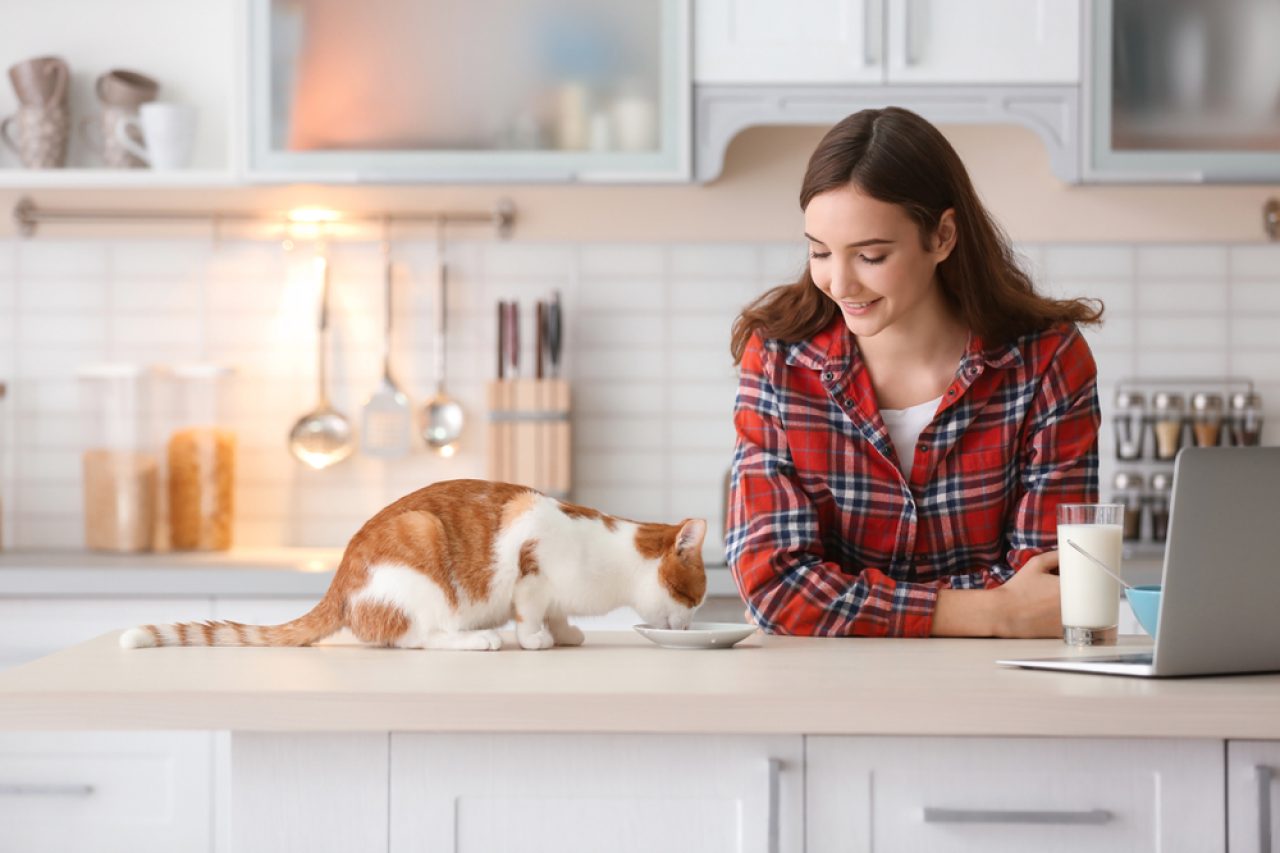 Why Does My Cat Want Me To Watch Her Eat? What's The Catch?