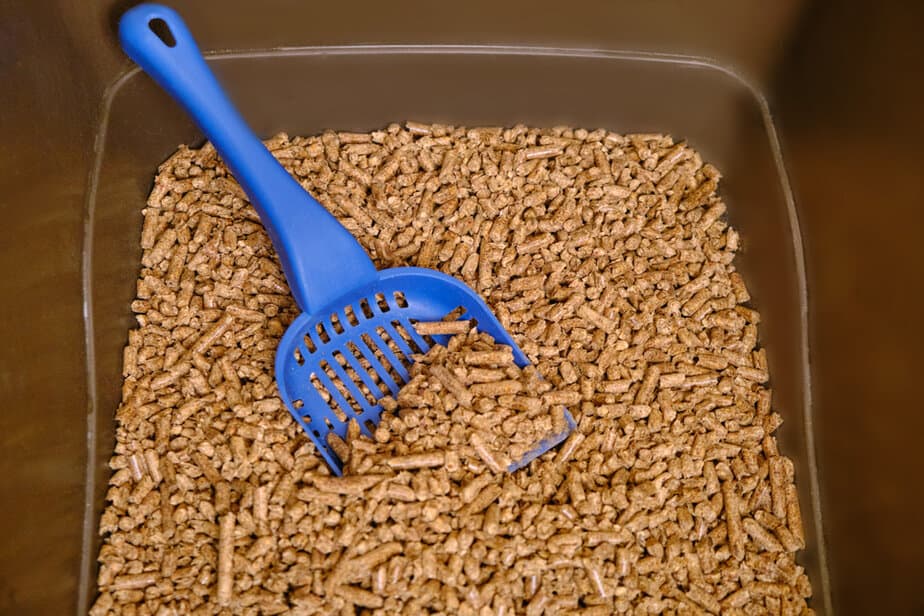 Wood Shavings For Cat Litter? 8 Sustainable Alternatives