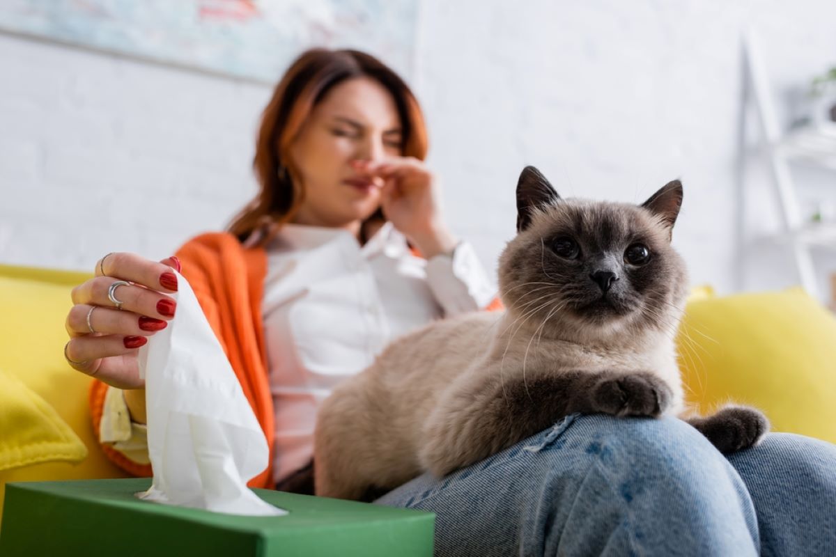 kedi alerjisinden doğal yollarla nasıl kurtulunur