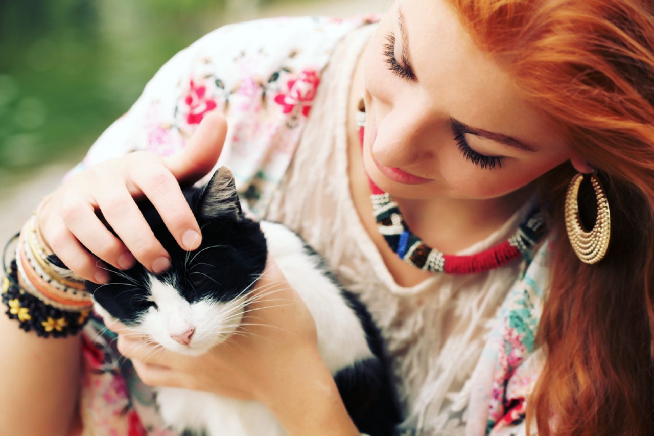 230+ Hippie Cat Names For Your Free-Spirited Fluff