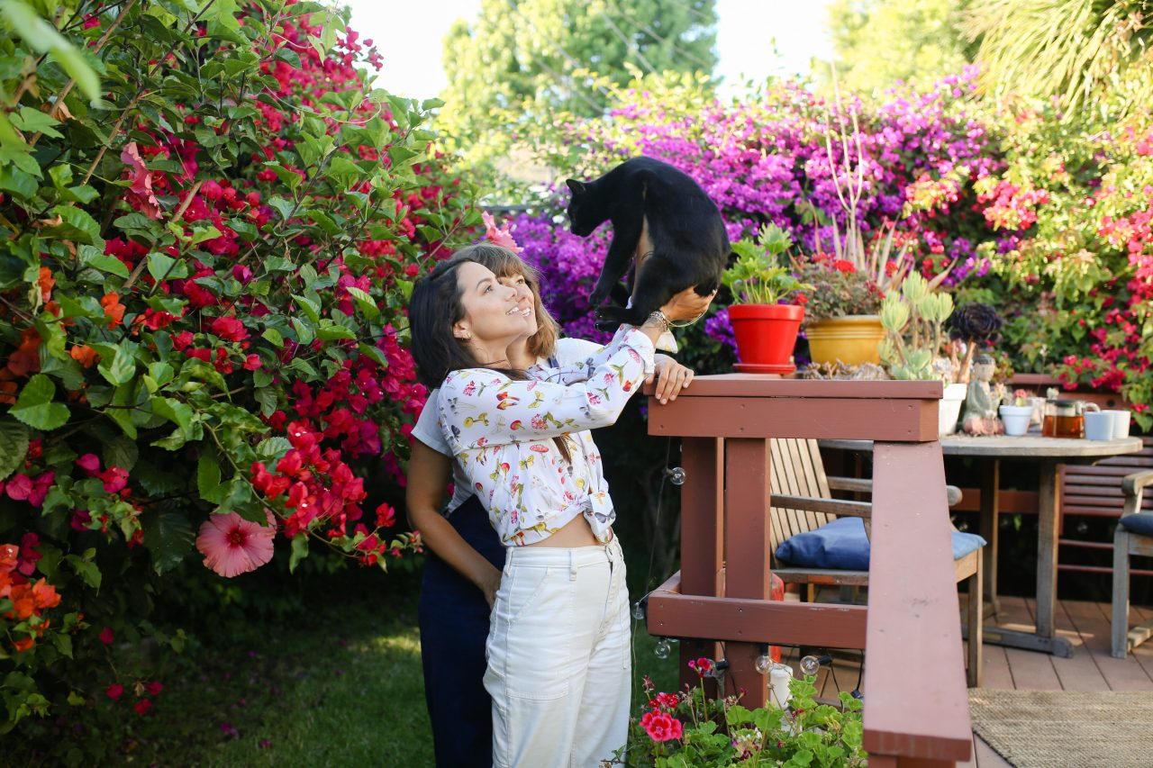 Are Lilacs Poisonous To Cats? Life-Threatening Or Safe?