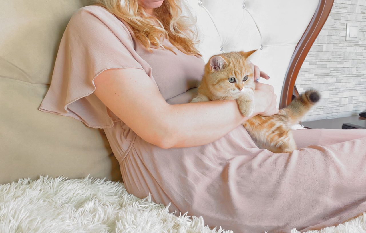 Do Cats Get Clingy When You're Pregnant? Can They Sense It?